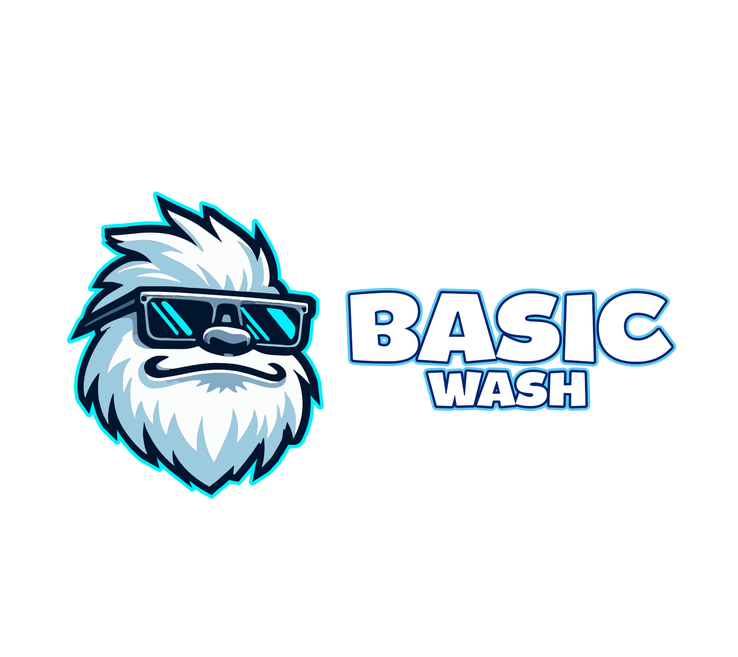 basic Wash